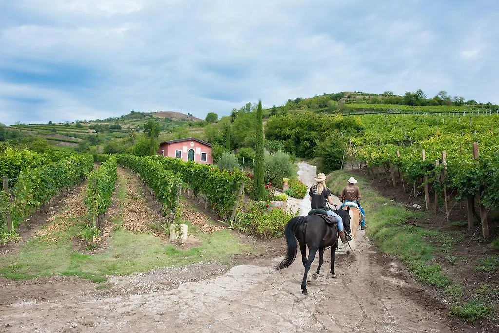 Casa Costa Relais B&B Monteforte dʼAlpone 住宿加早餐酒店