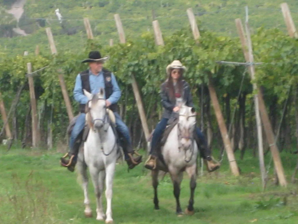 住宿加早餐酒店 Casa Costa Relais B&B Monteforte dʼAlpone