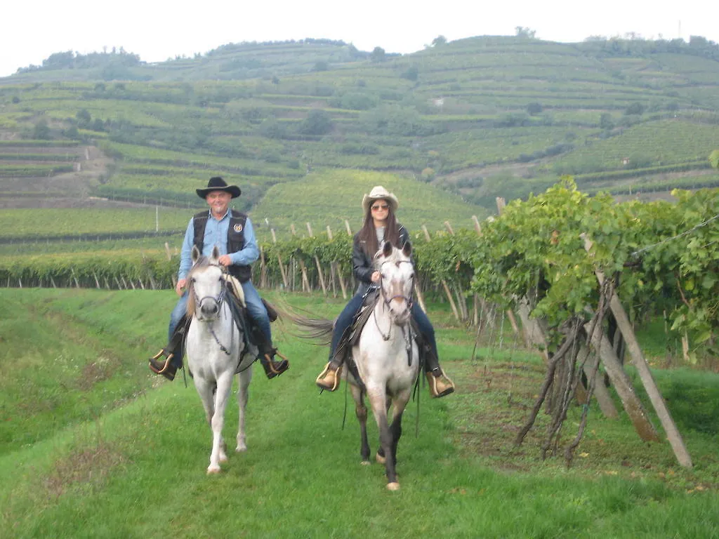 Casa Costa Relais B&B Monteforte dʼAlpone 住宿加早餐酒店